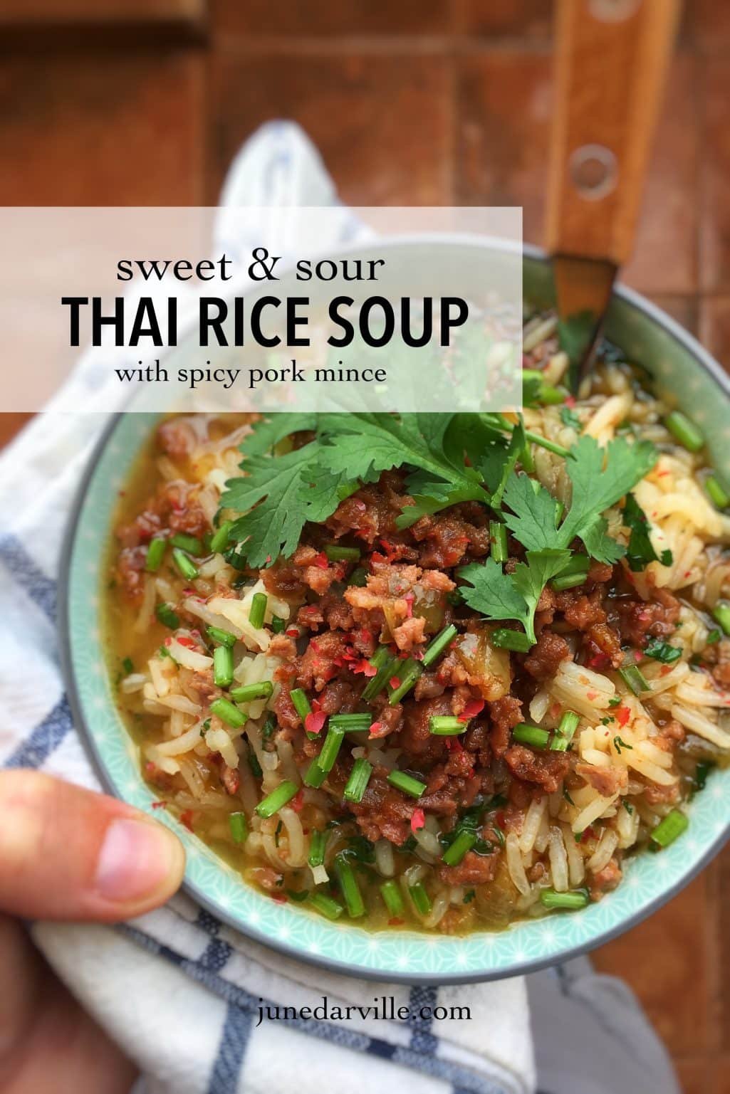 This Thai rice soup recipe was my favorite kind of breakfast when we were traveling around in Thailand a couple of years ago...
