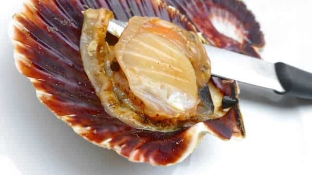 Time for a scallops recipe! I've always thought of sea scallops as being quite expensive. But here's why you should go for seasonal products!