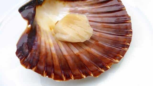 Time for a scallops recipe! I've always thought of sea scallops as being quite expensive. But here's why you should go for seasonal products!