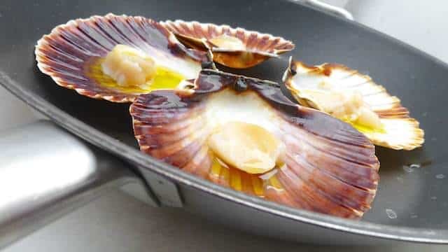 Time for a scallops recipe! I've always thought of sea scallops as being quite expensive. But here's why you should go for seasonal products!