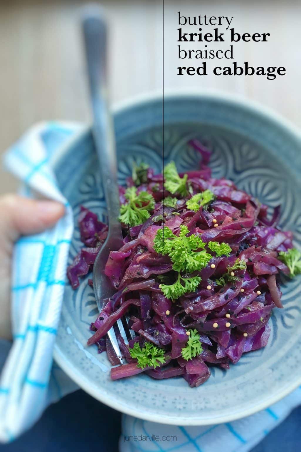 Sliced red cabbage in flavorful kriek beer: what an amazing flavor match this is! Try out this braised red cabbage recipe...