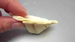 How to fold gyoza: learn here how to make gyoza dough from scratch and the easy folding technique with step-by-step pictures!