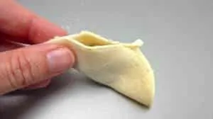 How to fold gyoza: learn here how to make gyoza dough from scratch and the easy folding technique with step-by-step pictures!