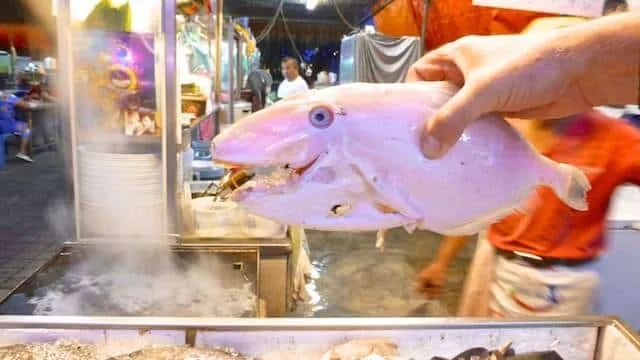 What to eat for dinner at the night food stalls of I Love You Cafe Batu Ferringhi... So many dishes to choose from! Let me help you decide.