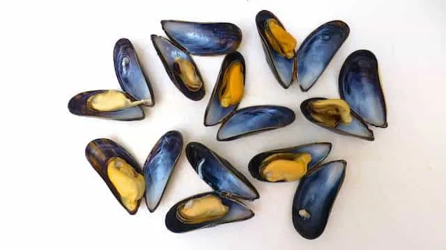 Easy Mussels Vinaigrette Recipe Now here's a super tasty cold appetizer: mussels vinaigrette recipe or cooked mussels topped with a fresh tomato bruschetta!