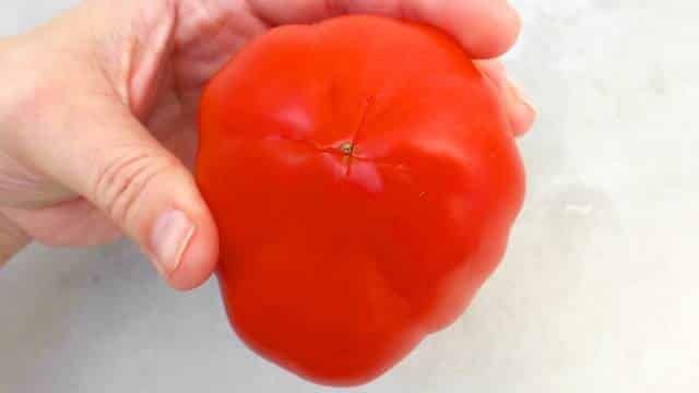 Tomate aux crevettes, tomaat garnaal or shrimp stuffed tomatoes, a Belgian classic! Easy to make in advance and delicious!