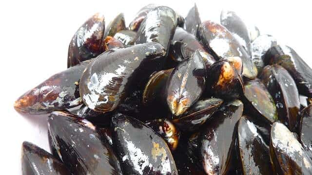 My delicious mussels provencal recipe with fresh tomatoes, black olives, capers, garlic and white wine... Awesome summer meal!
