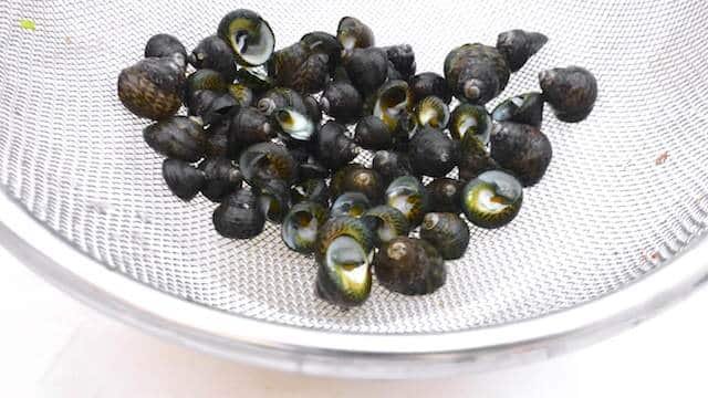 Winkles
