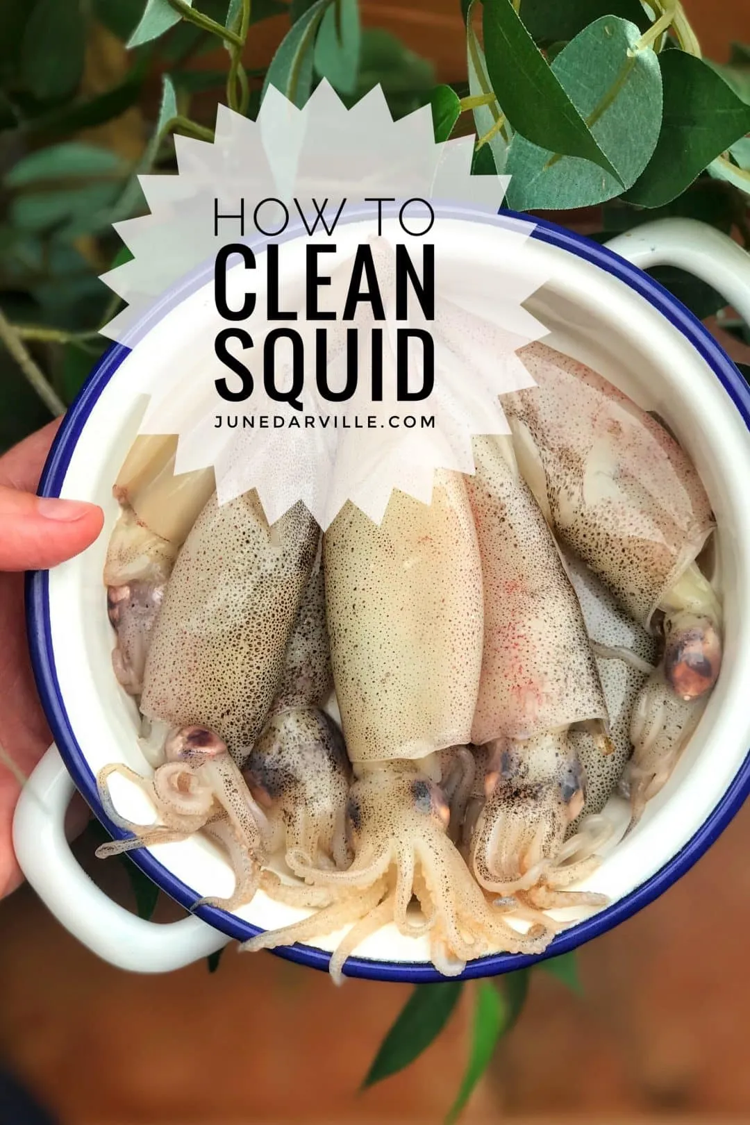 How to clean squid in 10 simple steps! It’s really not that difficult. Once you know how it works, you’ll never forget it anymore.