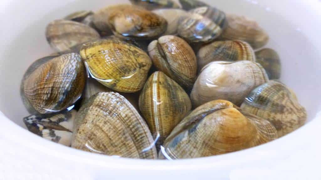 Do you love fresh clams? Then you will absolutely adore these beans and clams with white wine... A surprising and delicious combo!