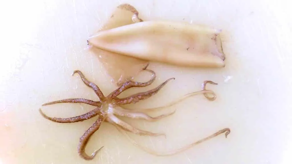 How to clean squid in 10 simple steps! It’s really not that difficult. Once you know how it works, you’ll never forget it anymore. Here we go!