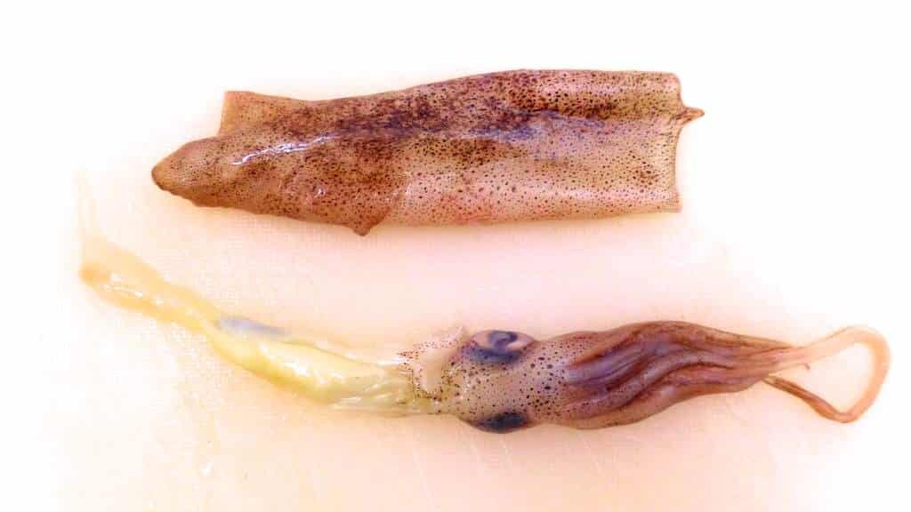 How to clean squid in 10 simple steps! It’s really not that difficult. Once you know how it works, you’ll never forget it anymore. Here we go!