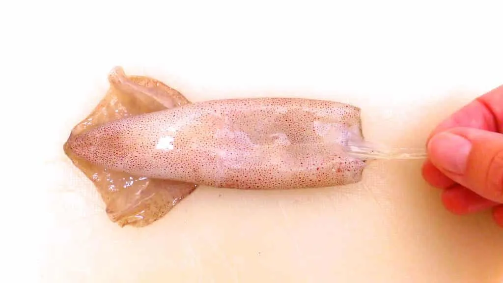How to clean squid in 10 simple steps! It’s really not that difficult. Once you know how it works, you’ll never forget it anymore. Here we go!