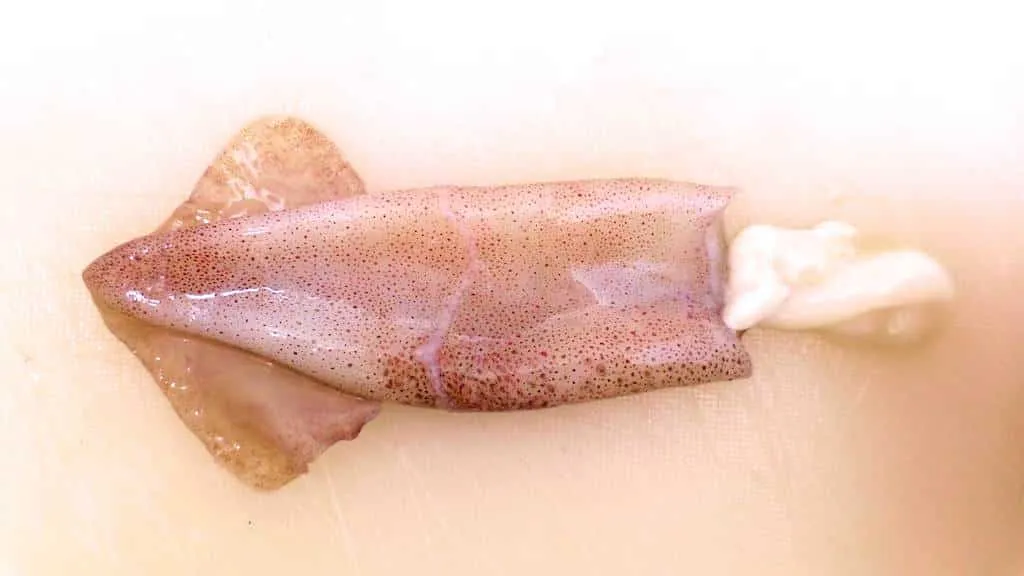 How to clean squid in 10 simple steps! It’s really not that difficult. Once you know how it works, you’ll never forget it anymore. Here we go!