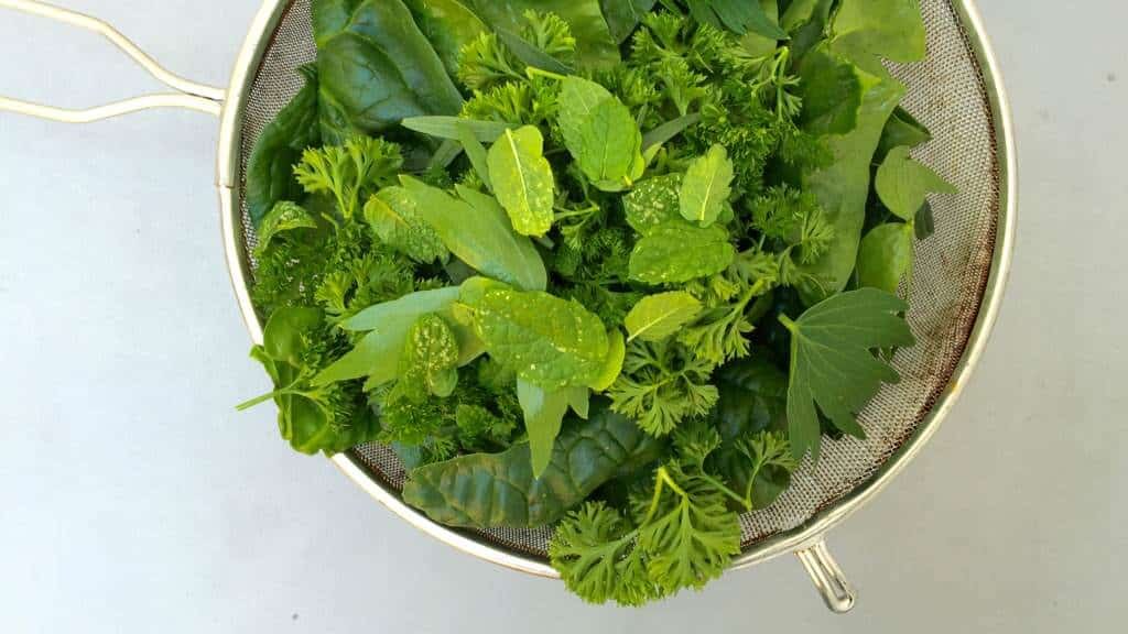 Eels in green sauce, this is a Belgian classic! Paling in 't groen, the herb sauce contains fresh parsley, mint, oregano and chervil!