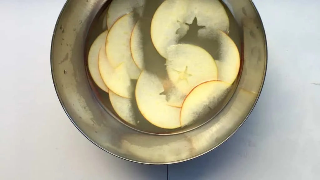 Easy Fresh Apple Celery Salad Recipe What a fancy looking apple and celery salad this is! Look at that delicious homemade creamy blue cheese dressing drizzled on top, epic!