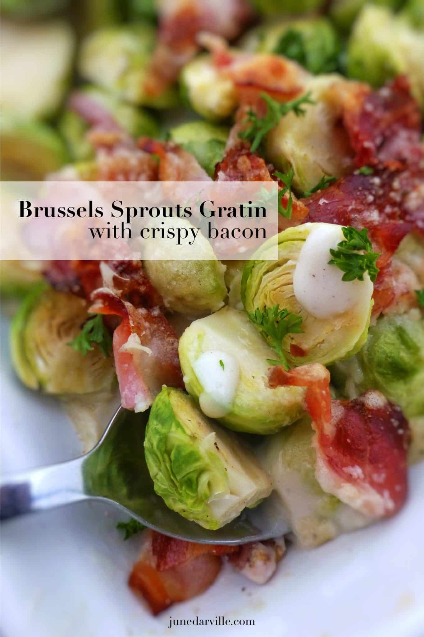 Savory side dish idea: a delicious Brussels sprouts gratin with crunchy bacon and a creamy parmesan cheese bechamel sauce!