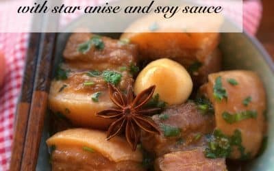 Easy Soy Sauce & Pork Belly Stew