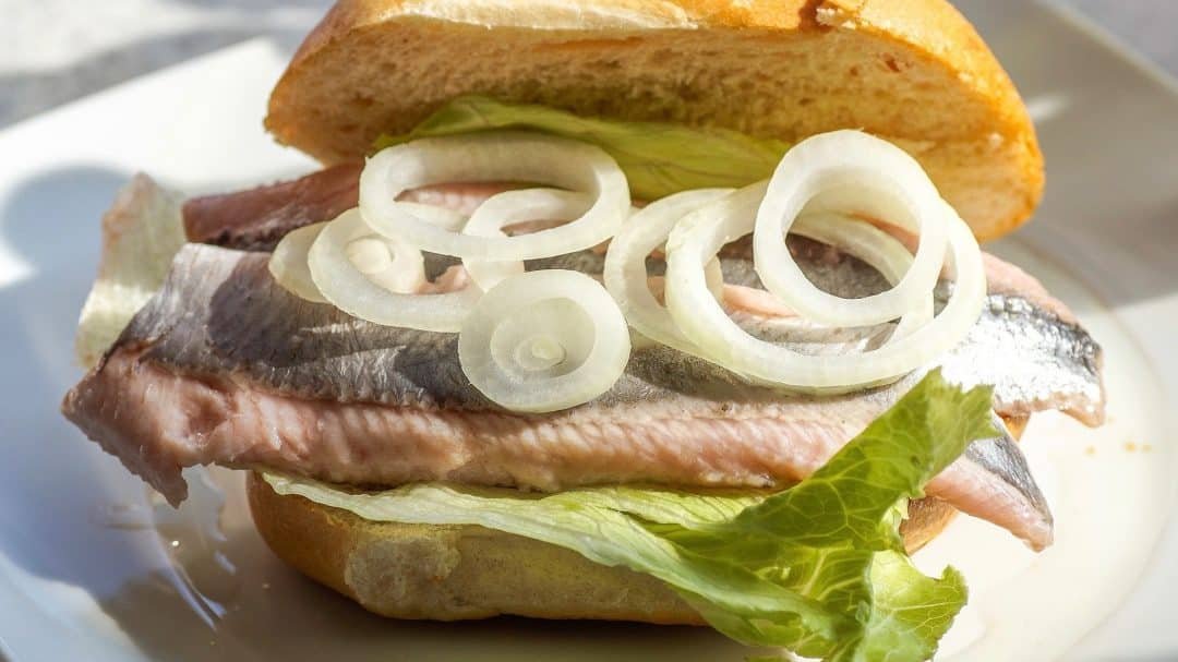 Everything you want to know about maatjes, Dutch new herring and matjes herring! What is it, how do you eat it and what to serve it with...