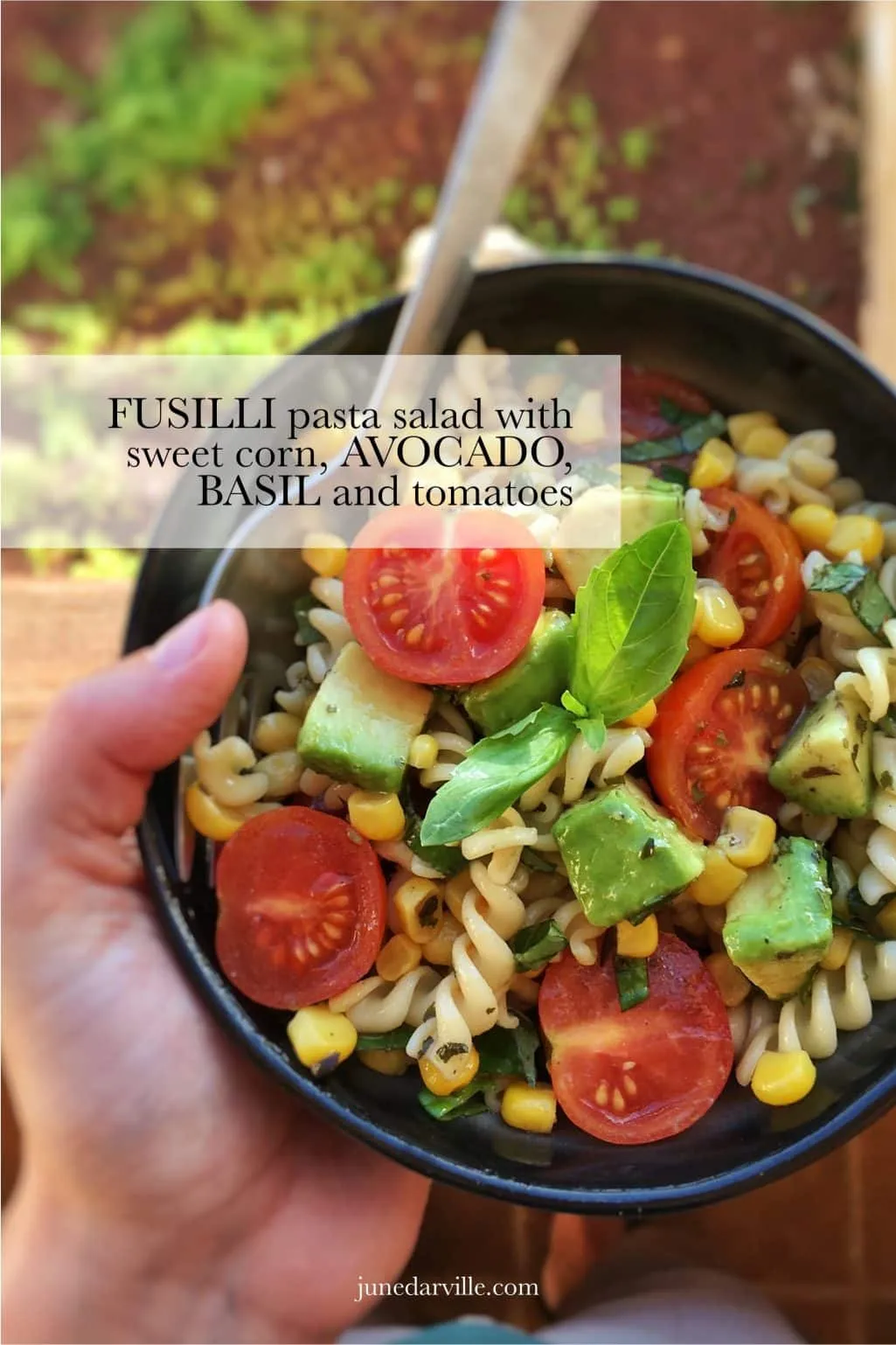 Best Basil Pesto Tortellini Pasta Salad Leftover cooked fusilli pasta from last night's dinner? Makes a great fusilli pasta salad for lunch with tomatoes, basil and avocado!