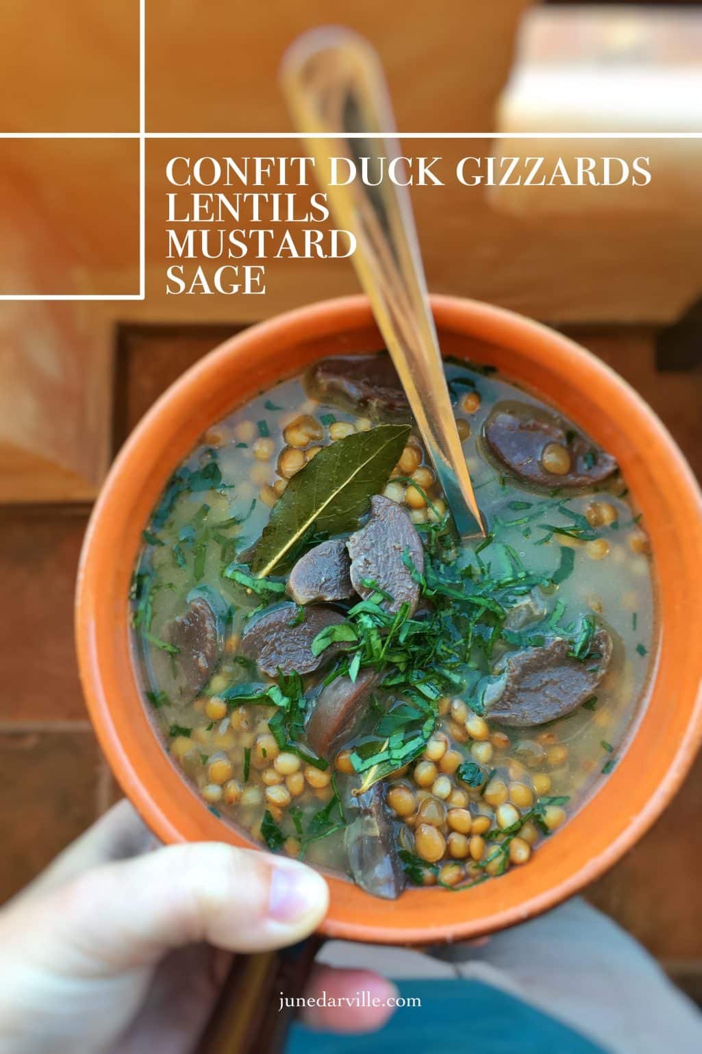 Three gizzard recipes for you: green bean salad with gizzards, homemade gizzard rillettes and a delicious gizzard and lentil soup!