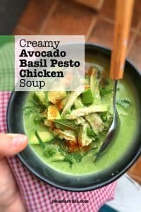 The flavors in this pesto chicken soup are spot on... love the match between the creamy avocado and the stronger basil pesto!