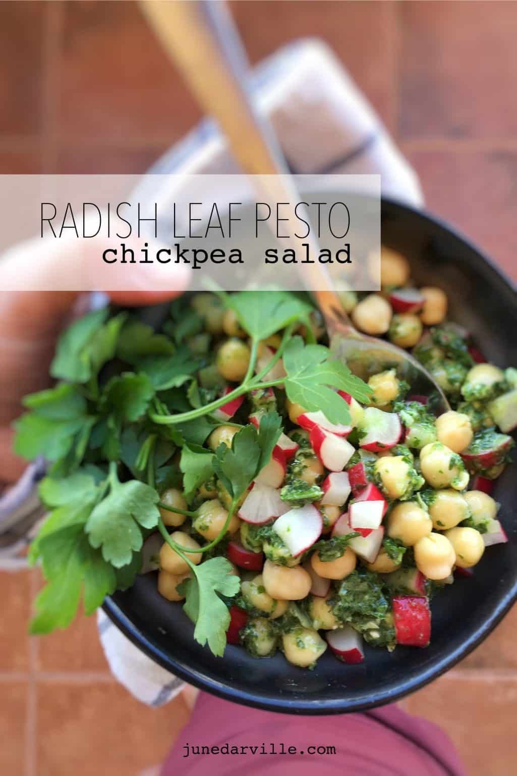Don't throw away fresh radish leaves! Better make a tasty radish leaf pesto with them! This pesto is great on sandwiches, salads or steak!