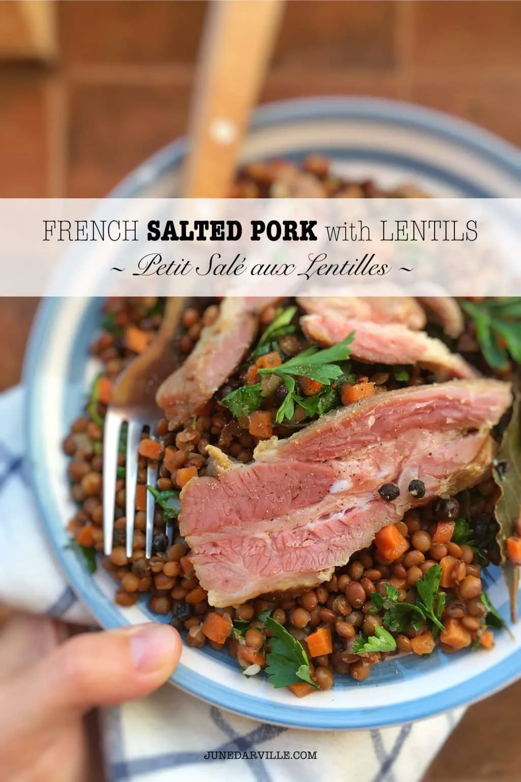 Try this French petit sale aux lentilles, a classic lentil stew with bits of salted pork! French traditional cuisine at its best...