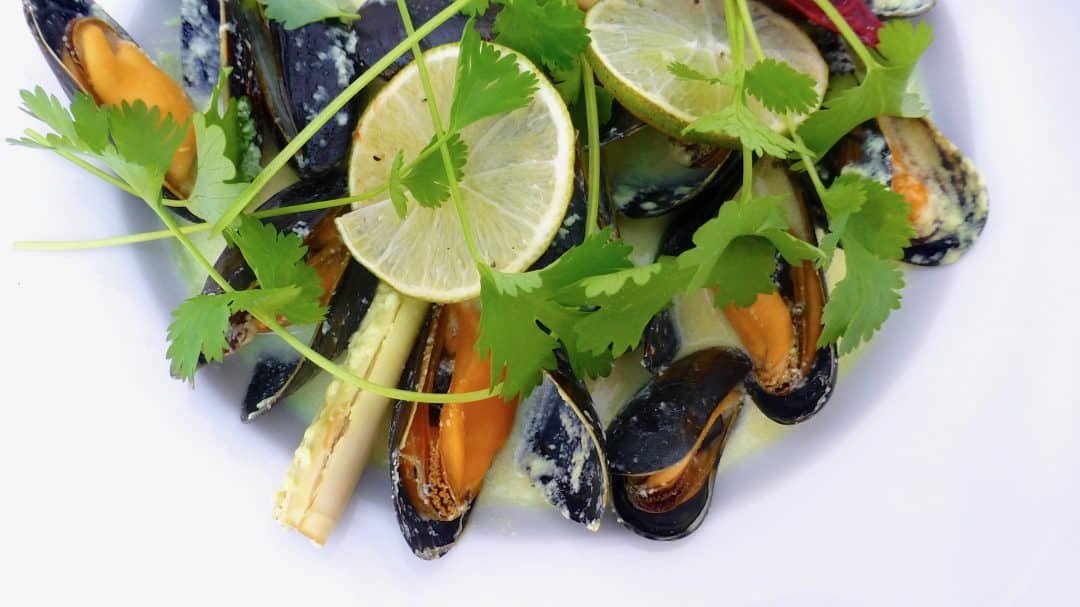 Easy Mussels with Celery & Onion Wanna know what my favorite mussel recipe ever? Simple mussels with celery, onion, garlic and white wine... classic and delish!