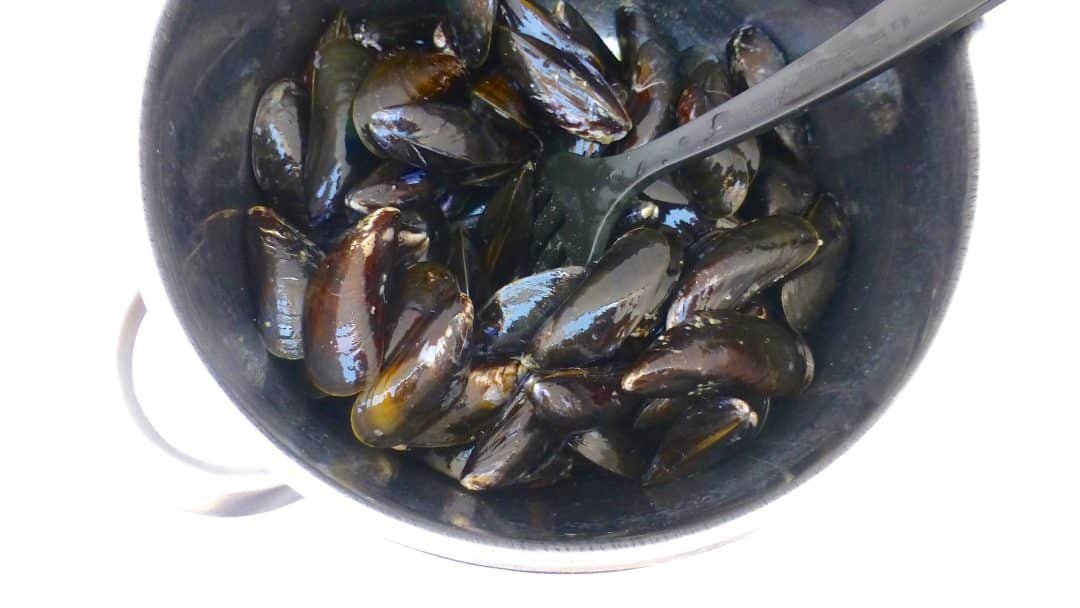 Wanna know what my favorite mussel recipe ever? Simple mussels with celery, onion, garlic and white wine... classic and delish!