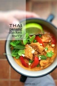 Best Panang Curry Recipe with Chicken Panang Curry