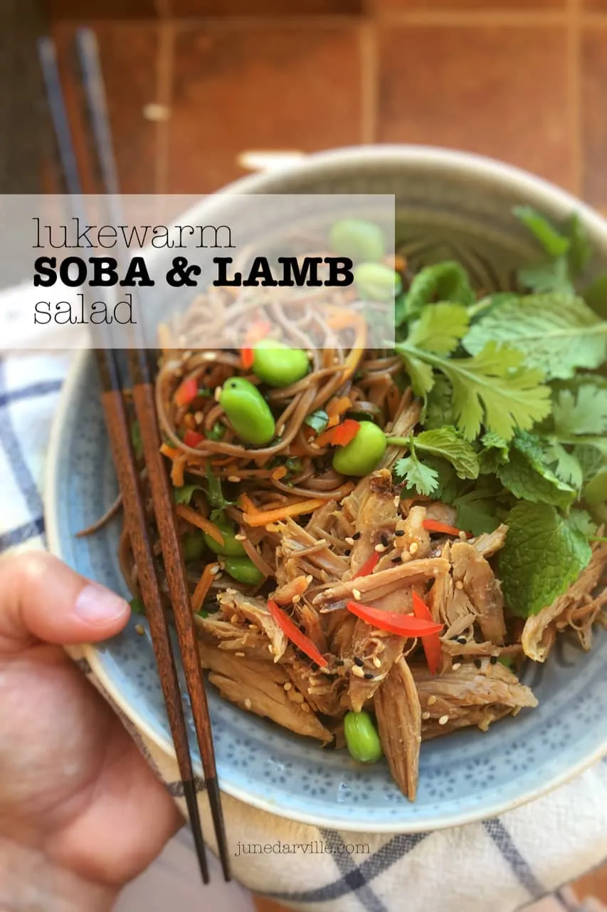 Not sure what to do with that leftover leg of lamb from last night's dinner? Take a look at my leftover lamb recipes right here!