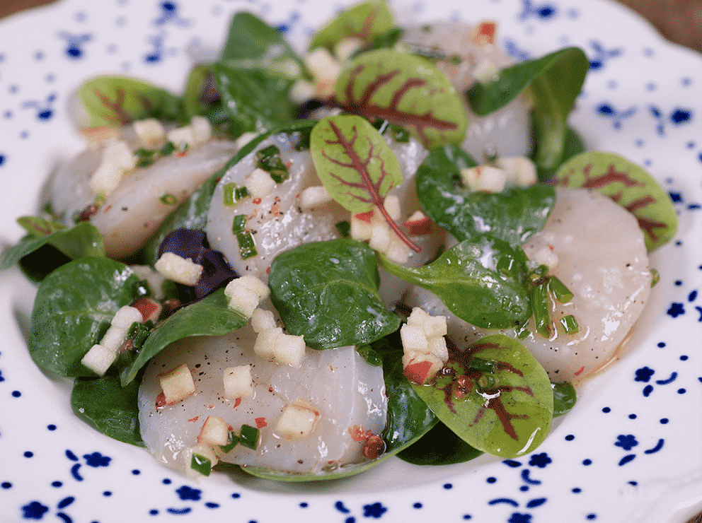 Fresh scallops are delicious. How do you usually cook them? Check out these 20 best fresh scallop recipes from fellow food bloggers!