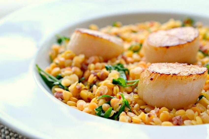 Fresh scallops are delicious. How do you usually cook them? Check out these 20 best fresh scallop recipes from fellow food bloggers!