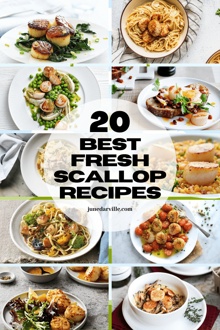 Fresh scallops are delicious. How do you usually cook them? Check out these 20 best fresh scallop recipes from fellow food bloggers!