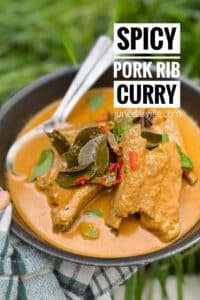 Best Spicy Pork Rib Curry Ever Fancy a fabulous spicy curry dinner tonight? This spicy pork rib curry is absolutely to die for, fall off the bone meat... Perfection!