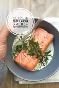 Pan fried salmon steaks in a creamy fresh sorrel, mustard and white wine sauce... this sorrel recipe is an old family classic!