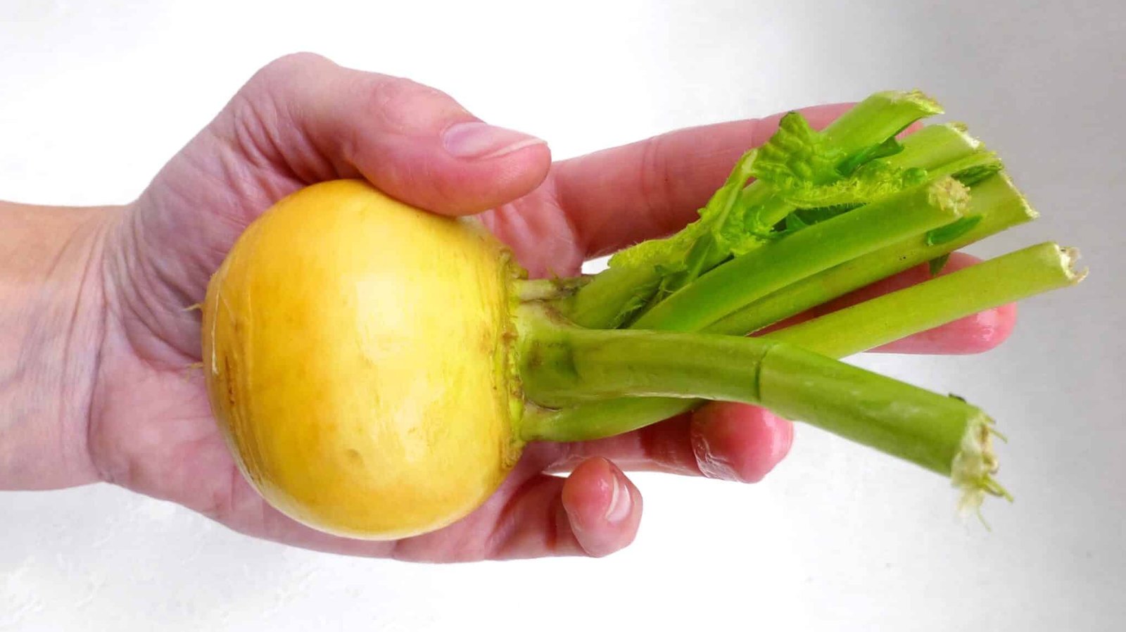 Here's my mom's turnip recipe: grated yellow turnips and cheese baked in the oven! Brings back some sweet childhood memories...