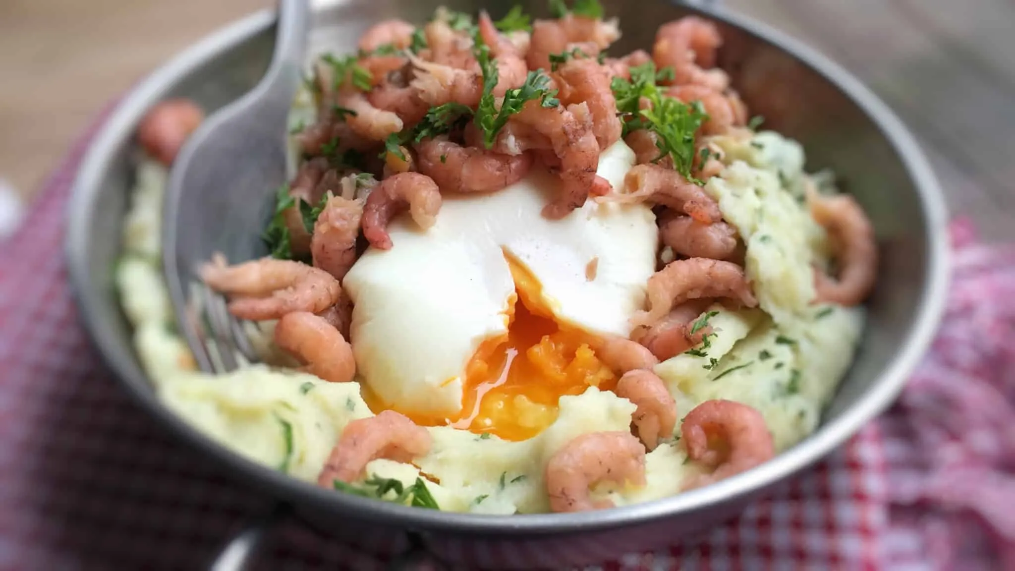 Classic Flemish buttermilk mashed potatoes with fresh grey shrimp, a creamy poached egg and drizzled with melted butter sauce...