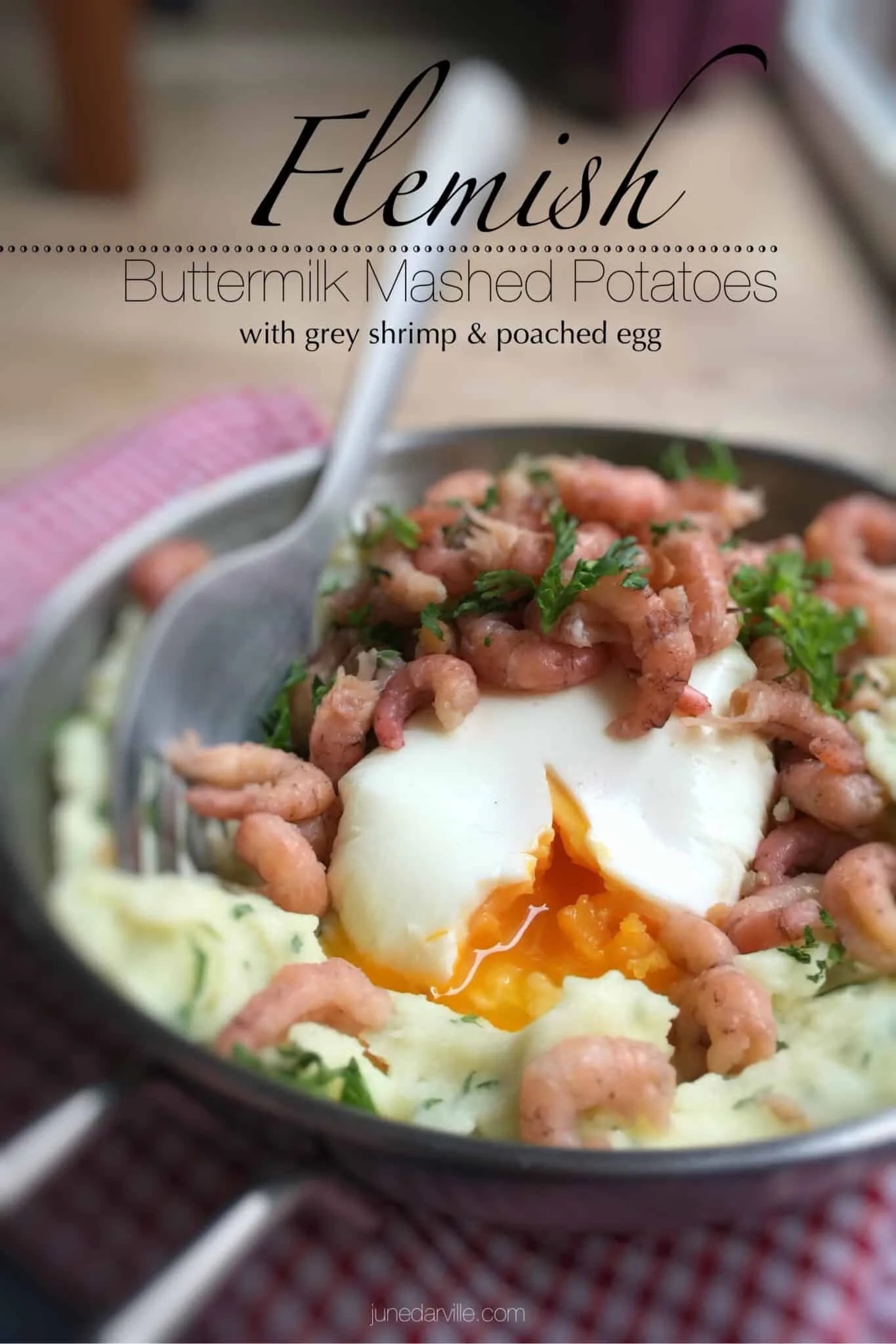 Classic Flemish buttermilk mashed potatoes with fresh grey shrimp, a creamy poached egg and drizzled with melted butter sauce...