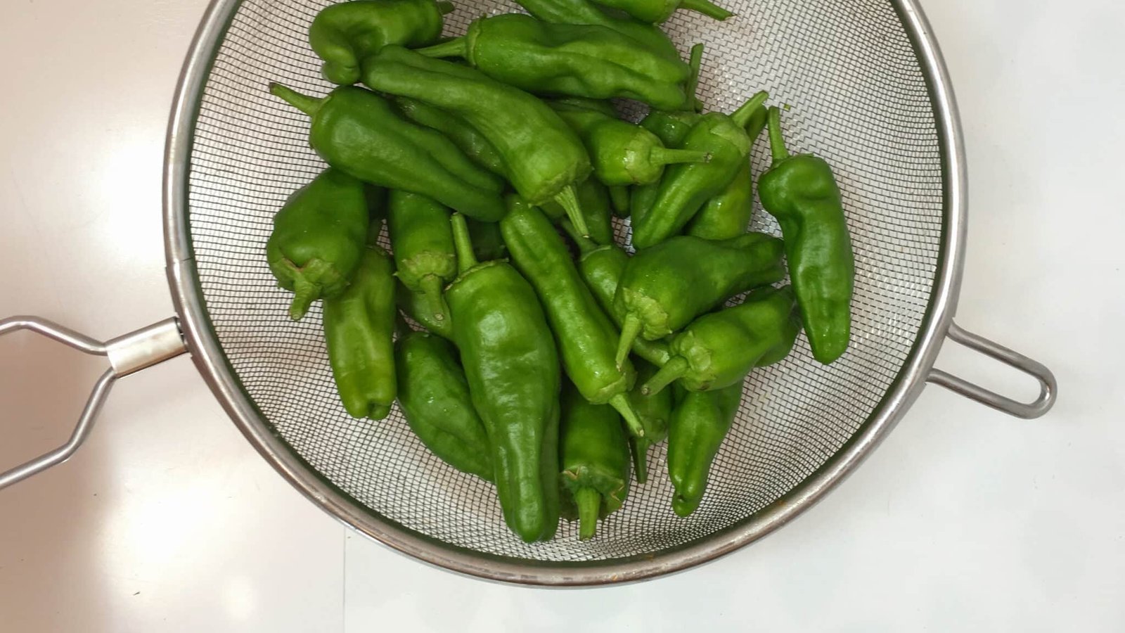 There’s no tapas dinner without a plateful of charred pimientos de Padron... These fried padron peppers are so easy to prepare! Have you tasted them before?