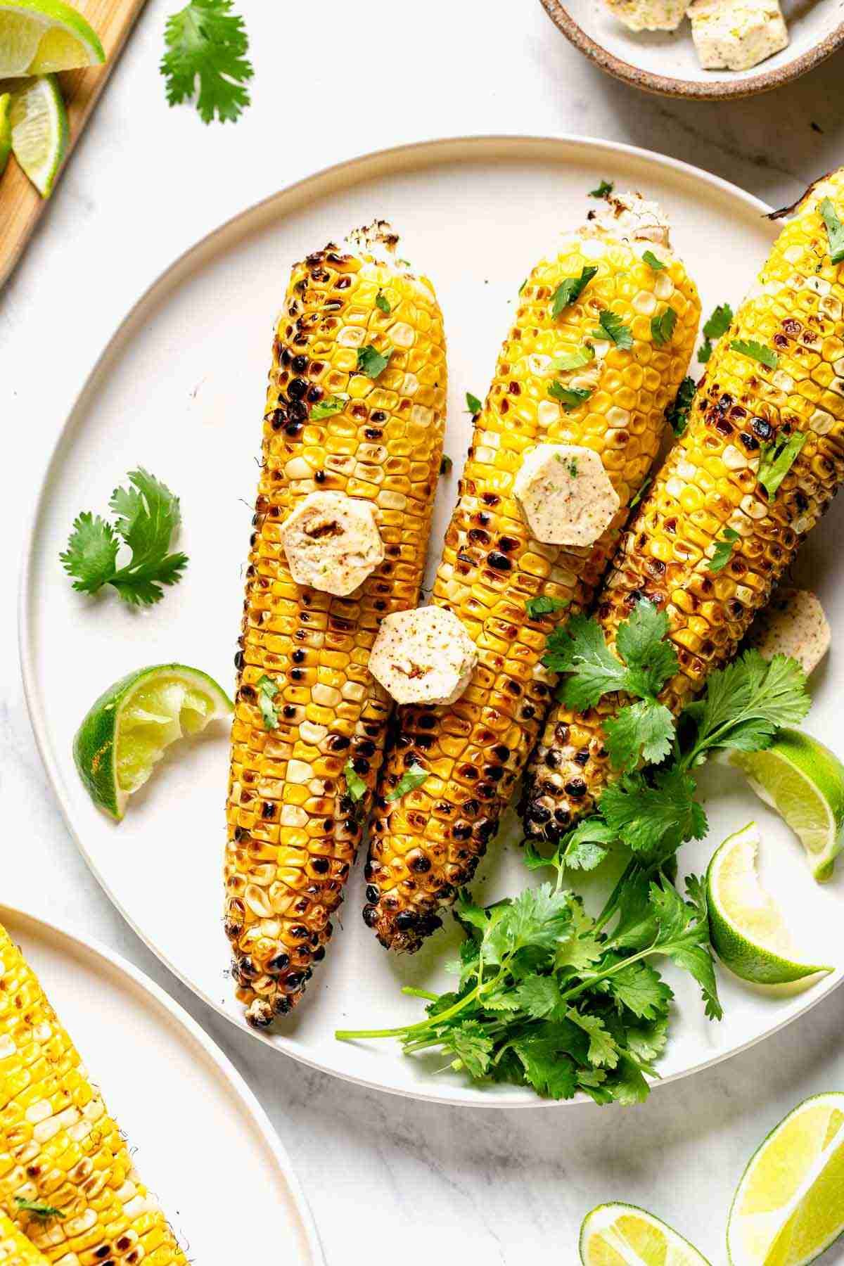 20 Best Outdoor Grill Recipes