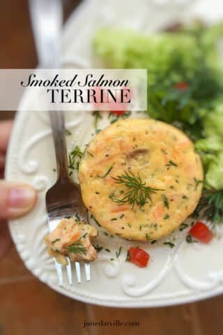 Easy Smoked Salmon Terrine Recipe Watch my video of how I'm preparing a smoked salmon terrine in my KitchenAid Stand Mixer Mini! This fish starter is easy to make in advance...