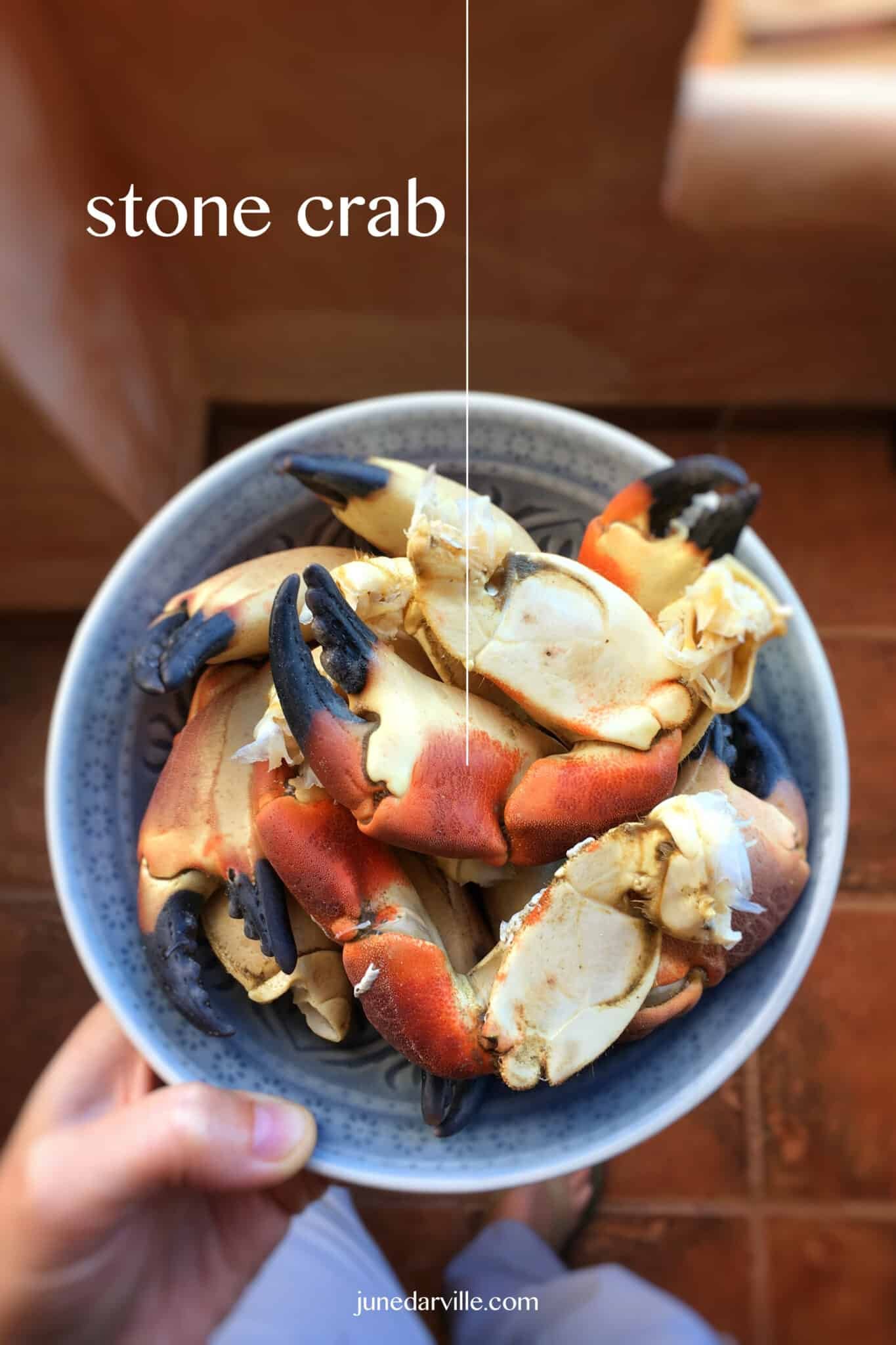 Look at these gorgeous plump stone crab claws in a buttery cilantro sauce, what a great seafood dinner! Can't get enough of this stuff...