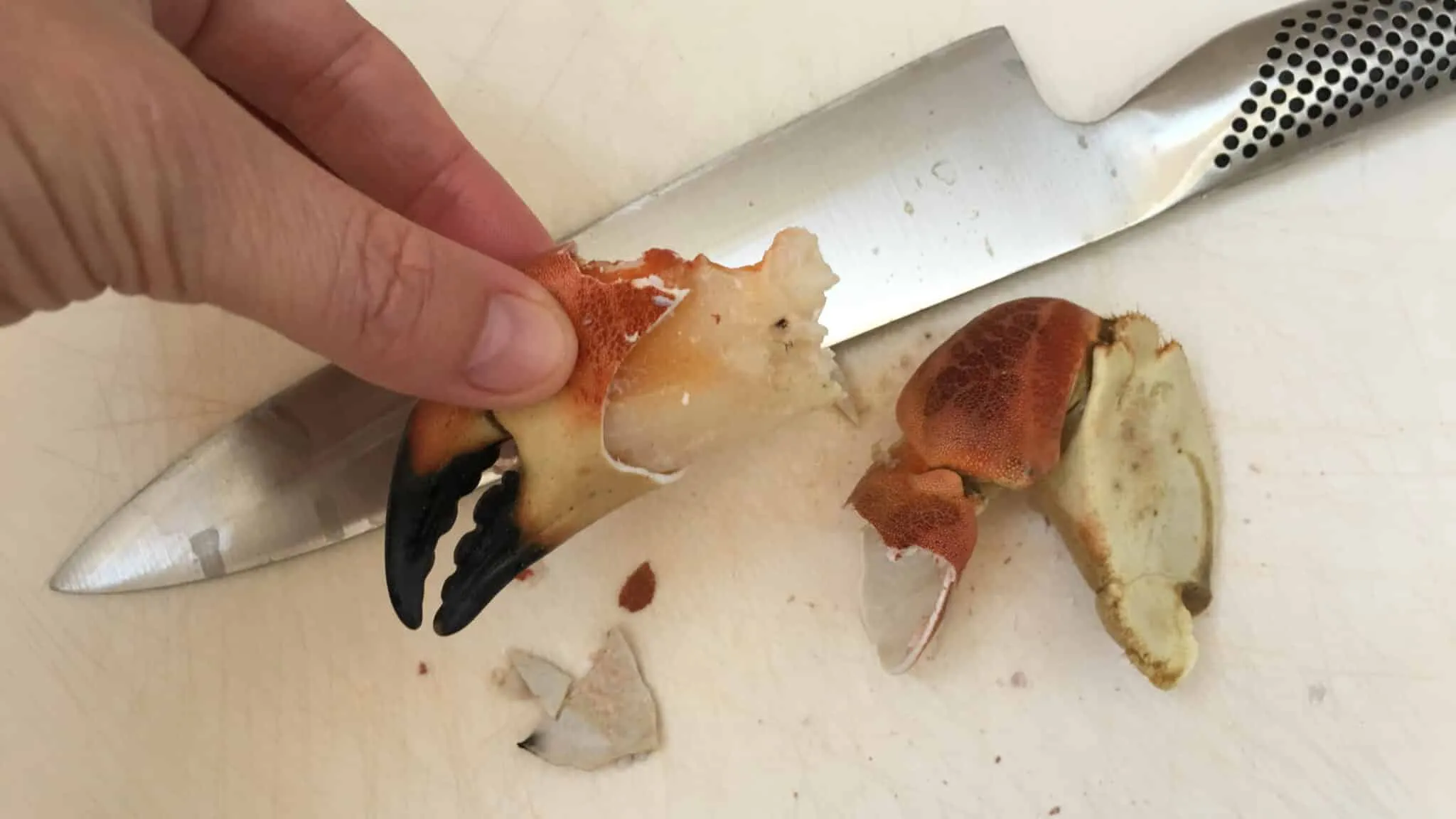 Look at these gorgeous plump stone crab claws in a buttery cilantro sauce, what a great seafood dinner! Can't get enough of this stuff...