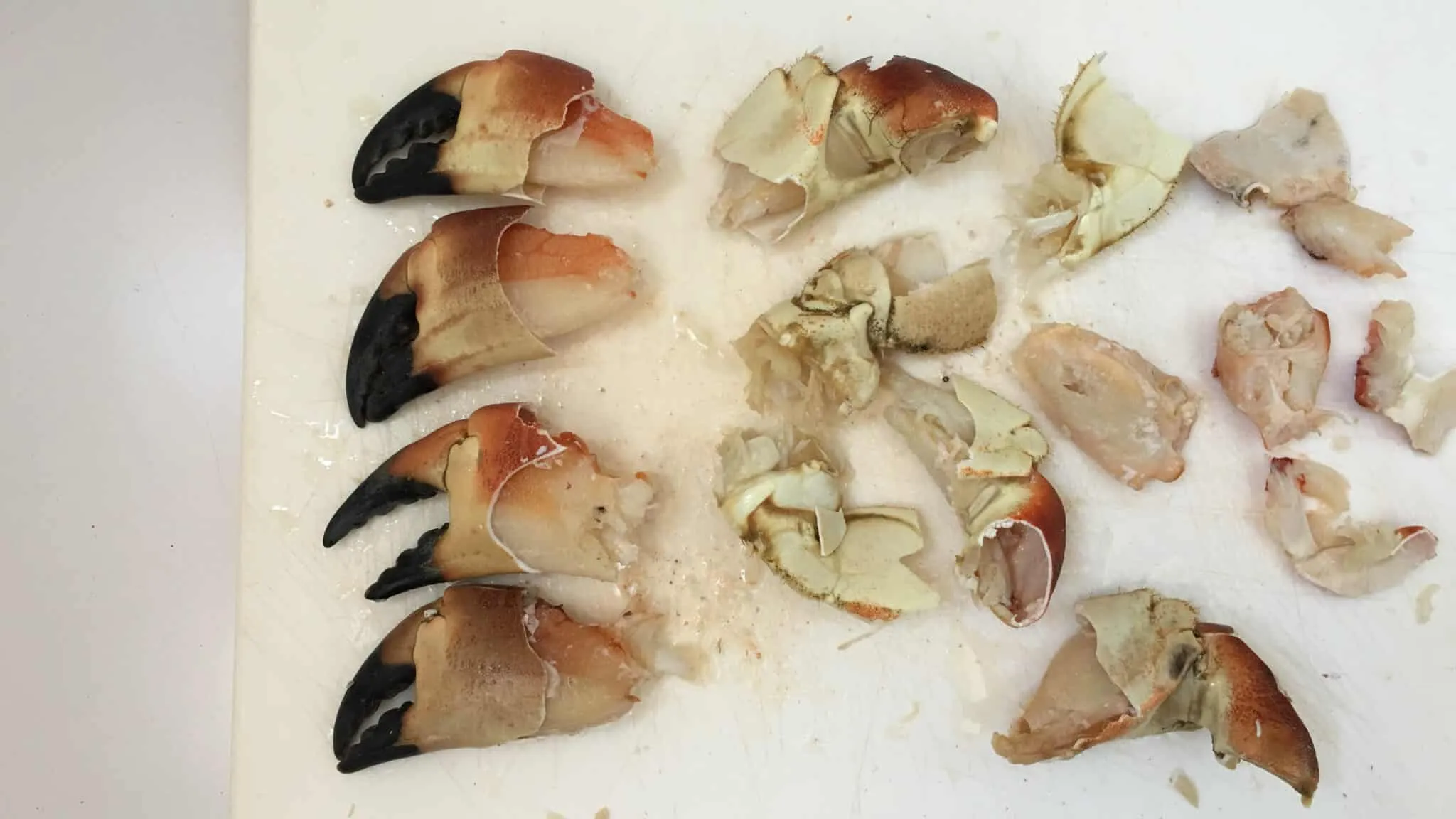 Look at these gorgeous plump stone crab claws in a buttery cilantro sauce, what a great seafood dinner! Can't get enough of this stuff...