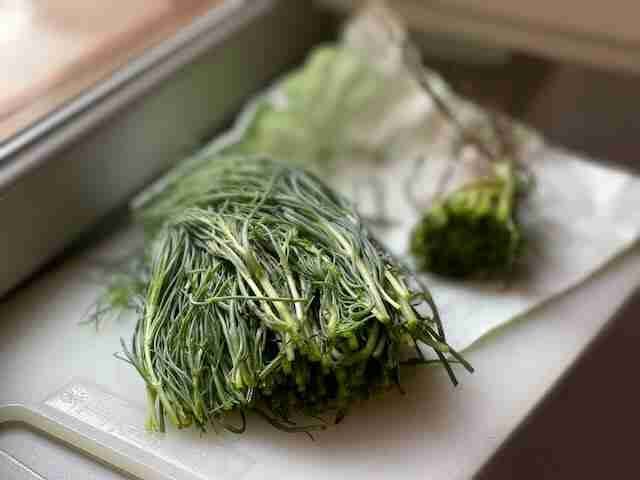 Agretti