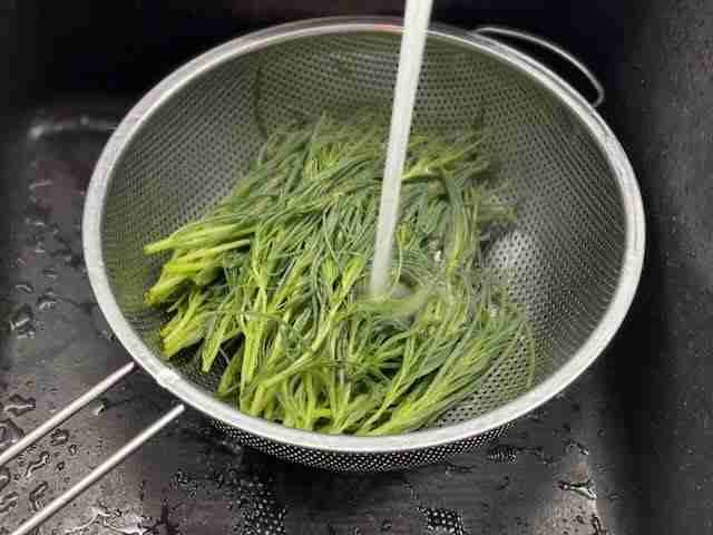 Agretti