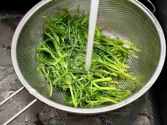 Agretti