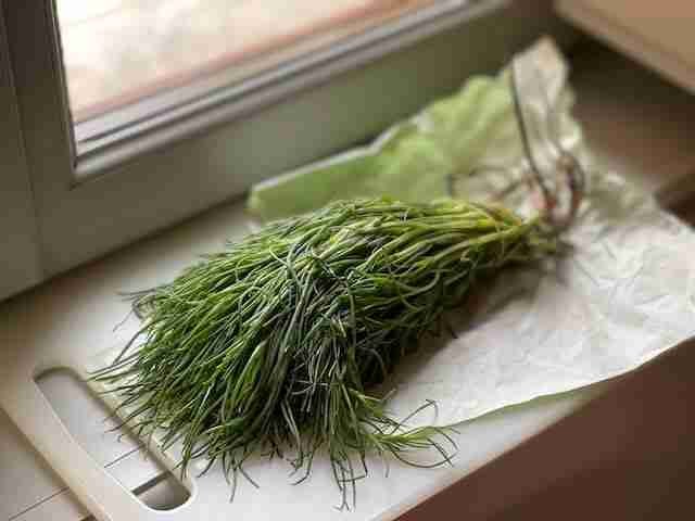 Agretti